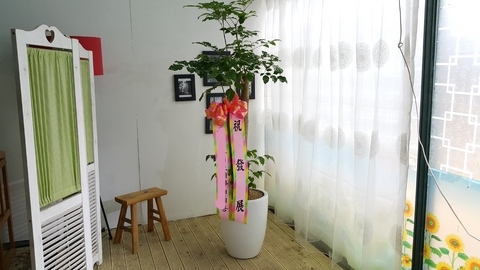 *  ȭ 캸