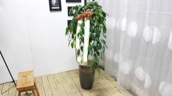 **ܰ  ȭ ŷڹ