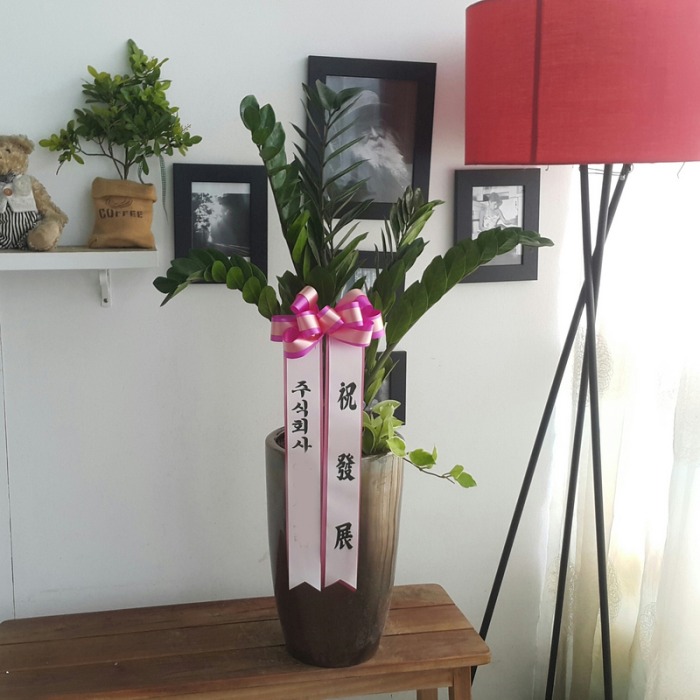 **  ȭ 캸