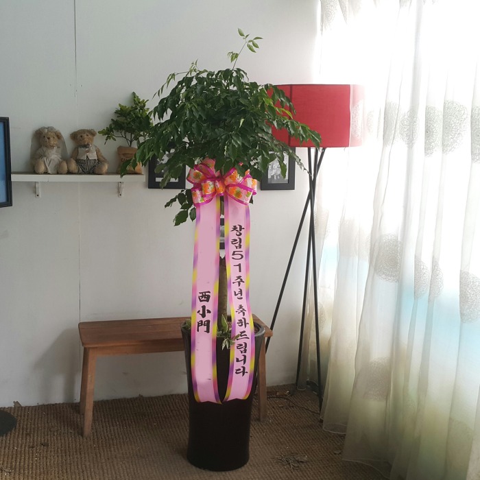 **   ȭ 캸