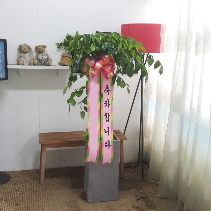 *Į  ȭ 캸